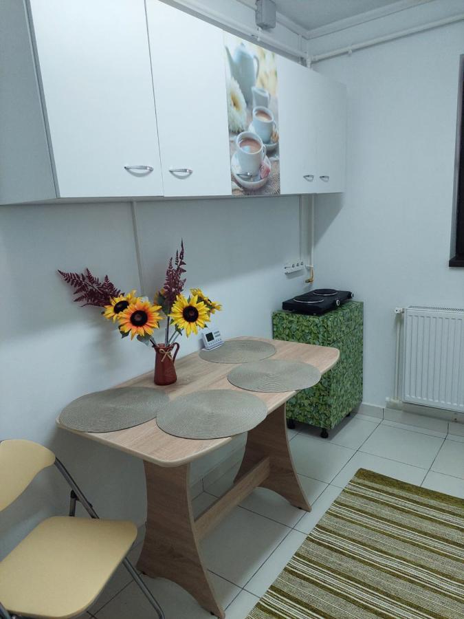Apartament Octav 데바 외부 사진